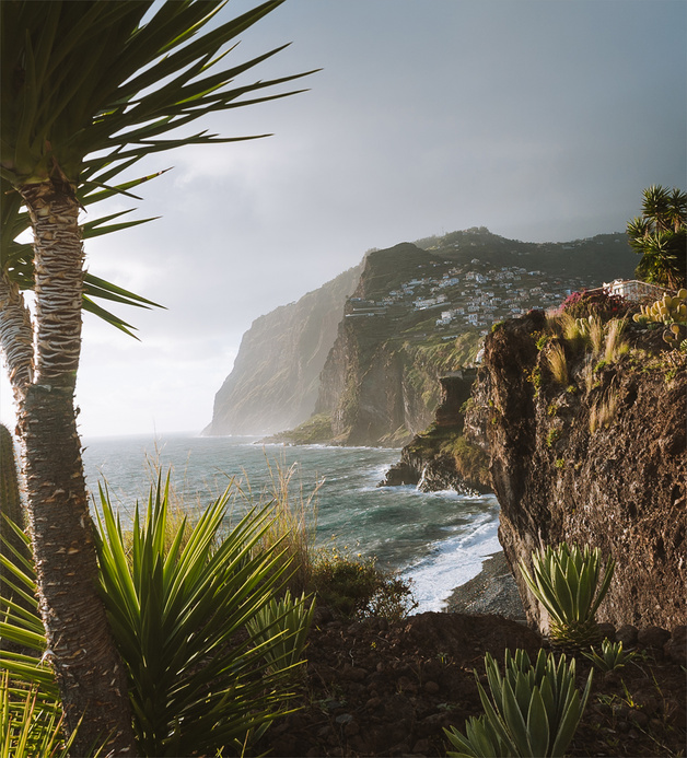 Tropical Island Landscape